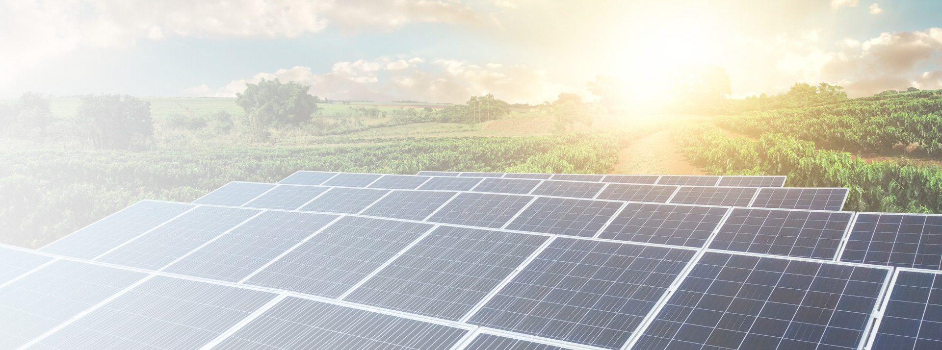 THI CÔNG XÂY LẮP HỆ THỐNG ĐIỆN NĂNG LƯỢNG MẶT TRỜI